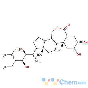 CAS No:110369-52-3 22(S),23(S)-HOMOBRASSINOLIDE