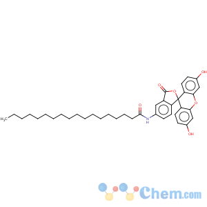 CAS No:110698-53-8 Octadecanamide,N-(3',6'-dihydroxy-3-oxospiro[isobenzofuran-1(3H),9'-[9H]xanthen]-5-yl)-
