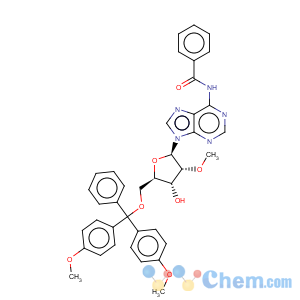 CAS No:110764-72-2 Adenosine,N-benzoyl-5'-O-[bis(4-methoxyphenyl)phenylmethyl]-2'-O-methyl-