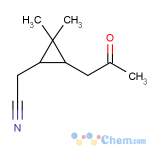 CAS No:110847-02-4 2-[(1R,3S)-2,2-dimethyl-3-(2-oxopropyl)cyclopropyl]acetonitrile