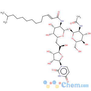 CAS No:11089-65-9 Tunicamycin