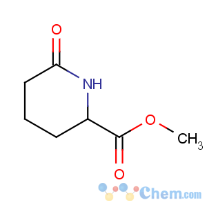 CAS No:111479-60-8 methyl 6-oxopiperidine-2-carboxylate