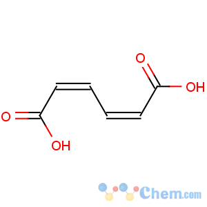 CAS No:1119-72-8 2,4-Hexadienedioicacid, (2Z,4Z)-