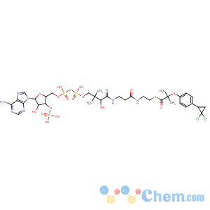 CAS No:111900-25-5 Coenzyme A,S-[2-[4-(2,2-dichlorocyclopropyl)phenoxy]-2-methylpropanoate] (9CI)