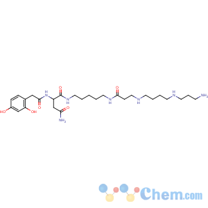 CAS No:112163-33-4 (2S)-N-[5-[3-[4-(3-aminopropylamino)butylamino]propanoylamino]pentyl]-2-<br />[[2-(2,4-dihydroxyphenyl)acetyl]amino]butanediamide