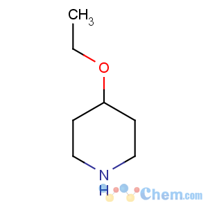 CAS No:1122-86-7 4-ethoxypiperidine