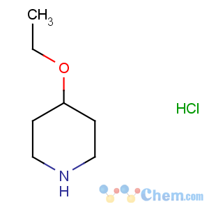 CAS No:1122-87-8 4-ethoxypiperidine