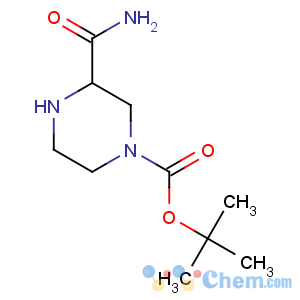 CAS No:112257-24-6 tert-butyl 3-carbamoylpiperazine-1-carboxylate