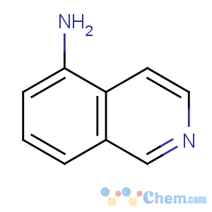 CAS No:1125-60-6 isoquinolin-5-amine