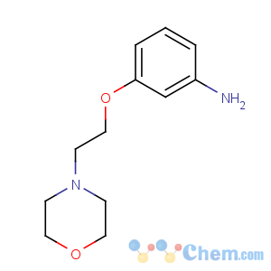 CAS No:112677-72-2 3-(2-morpholin-4-ylethoxy)aniline