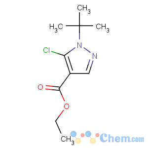 CAS No:112779-13-2 ethyl 1-tert-butyl-5-chloropyrazole-4-carboxylate