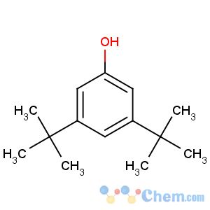 CAS No:1138-52-9 3,5-ditert-butylphenol