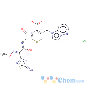 CAS No:113981-44-5 Cefozopran hydrochloride