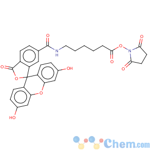 CAS No:114616-31-8 Spiro[isobenzofuran-1(3H),9'-[9H]xanthene]-ar-carboxamide,N-[6-[(2,5-dioxo-1-pyrrolidinyl)oxy]-6-oxohexyl]-3',6'-dihydroxy-3-oxo-