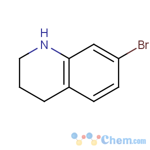 CAS No:114744-51-3 7-bromo-1,2,3,4-tetrahydroquinoline