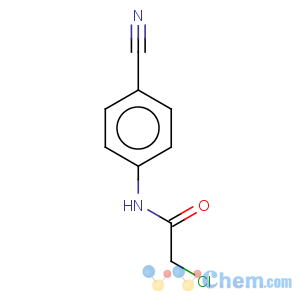 CAS No:114807-80-6 2-chloro-n-(4-cyano-phenyl)-acetamide