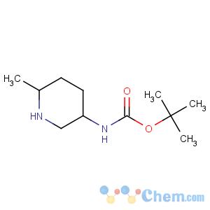 CAS No:1150618-39-5 tert-butyl N-(6-methylpiperidin-3-yl)carbamate