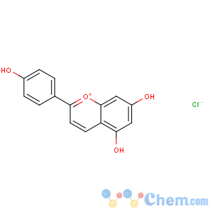 CAS No:1151-98-0 1-Benzopyrylium,5,7-dihydroxy-2-(4-hydroxyphenyl)-, chloride (1:1)