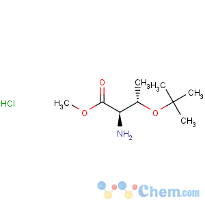 CAS No:115141-43-0 D-Threonine,O-(1,1-dimethylethyl)-, methyl ester, hydrochloride (1:1)