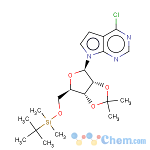 CAS No:115479-39-5 7H-Pyrrolo[2,3-d]pyrimidine,4-chloro-7-[5-O-[(1,1-dimethylethyl)dimethylsilyl]-2,3-O-(1-methylethylidene)-b-D-ribofuranosyl]-