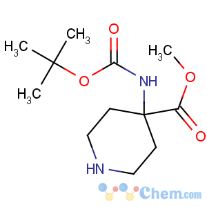 CAS No:115655-44-2 methyl 4-[(2-methylpropan-2-yl)oxycarbonylamino]piperidine-4-carboxylate