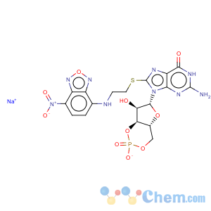 CAS No:115993-88-9 Guanosine,8-[[2-[(7-nitro-2,1,3-benzoxadiazol-4-yl)amino]ethyl]thio]-, cyclic3',5'-(hydrogen phosphate) (9CI)