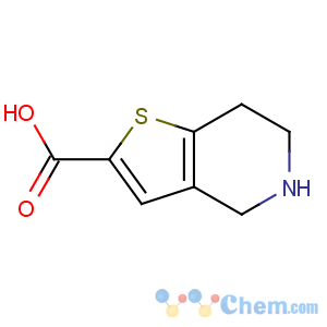 CAS No:116118-98-0 4,5,6,7-tetrahydrothieno[3,2-c]pyridine-2-carboxylic acid