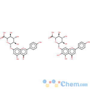 CAS No:116122-36-2 Breviscapine