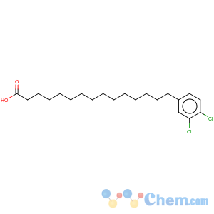 CAS No:116409-73-5 Benzenepentadecanoicacid, 3,4-dichloro-