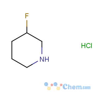 CAS No:116574-75-5 3-fluoropiperidine