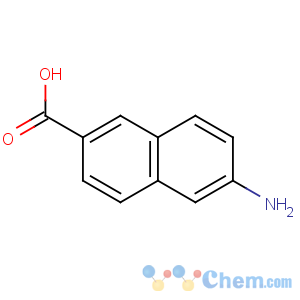 CAS No:116668-47-4 6-aminonaphthalene-2-carboxylic acid