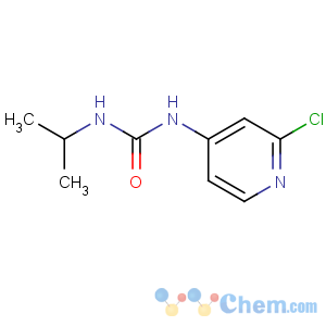 CAS No:116681-70-0 1-(2-chloropyridin-4-yl)-3-propan-2-ylurea