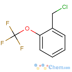 CAS No:116827-40-8 1-(chloromethyl)-2-(trifluoromethoxy)benzene