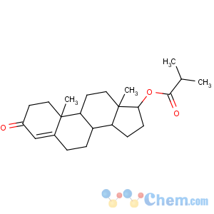 CAS No:1169-49-9 [(8R,9S,10R,13S,14S,17S)-10,13-dimethyl-3-oxo-1,2,6,7,8,9,11,12,14,15,<br />16,17-dodecahydrocyclopenta[a]phenanthren-17-yl] 2-methylpropanoate