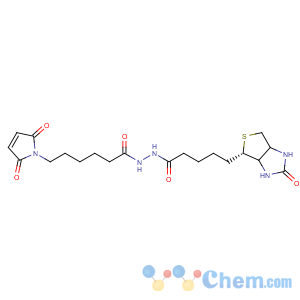 CAS No:116919-18-7 1H-Thieno[3,4-d]imidazole-4-pentanoicacid, hexahydro-2-oxo-,2-[6-(2,5-dihydro-2,5-dioxo-1H-pyrrol-1-yl)-1-oxohexyl]hydrazide, (3aS,4S,6aR)-