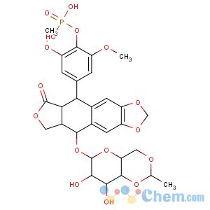 CAS No:117091-64-2 Furo[3',4':6,7]naphtho[2,3-d]-1,3-dioxol-6(5aH)-one,5-[3,5-dimethoxy-4-(phosphonooxy)phenyl]-9-[[4,6-O-(1R)-ethylidene-b-D-glucopyranosyl]oxy]-5,8,8a,9-tetrahydro-,(5R,5aR,8aR,9S)-