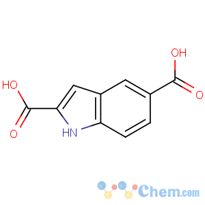 CAS No:117140-77-9 1H-indole-2,5-dicarboxylic acid