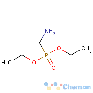 CAS No:117196-73-3 diethoxyphosphorylmethylazanium