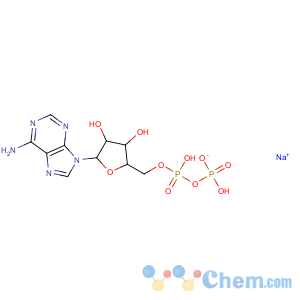 CAS No:1172-42-5 Adenosine5'-(trihydrogen diphosphate), sodium salt (1:1)