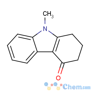 CAS No:117290-74-1 9-methyl-2,3-dihydro-1H-carbazol-4-one