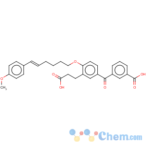 CAS No:117423-74-2 Benzenepropanoic acid,5-(3-carboxybenzoyl)-2-[[(5E)-6-(4-methoxyphenyl)-5-hexen-1-yl]oxy]-