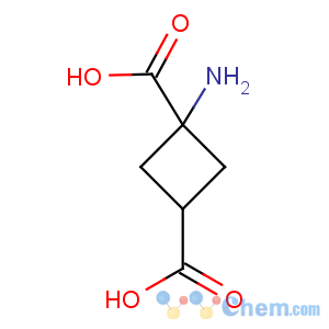 CAS No:117488-23-0 1,3-Cyclobutanedicarboxylicacid, 1-amino-, trans-