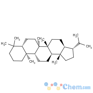 CAS No:1176-44-9 A'-Neogammacerane, (21b)-