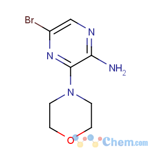 CAS No:117719-17-2 5-bromo-3-morpholin-4-ylpyrazin-2-amine