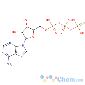 CAS No:117750-47-7 Adenosine, 5'®
