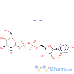 CAS No:117756-22-6 uridine 5'-diphosphoglucose disodium