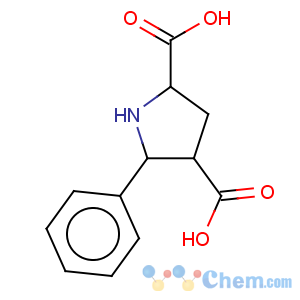 CAS No:117835-08-2 2,4-Pyrrolidinedicarboxylicacid, 5-phenyl-