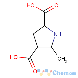 CAS No:117835-09-3 5-methylpyrrolidine-2,4-dicarboxylic acid