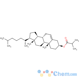 CAS No:1180-43-4 Cholest-5-en-3-ol (3b)-, 3-(2-methylpropanoate)