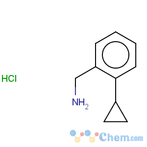 CAS No:118184-64-8 2-Cyclopropylbenzenemethanamine hydrochloride